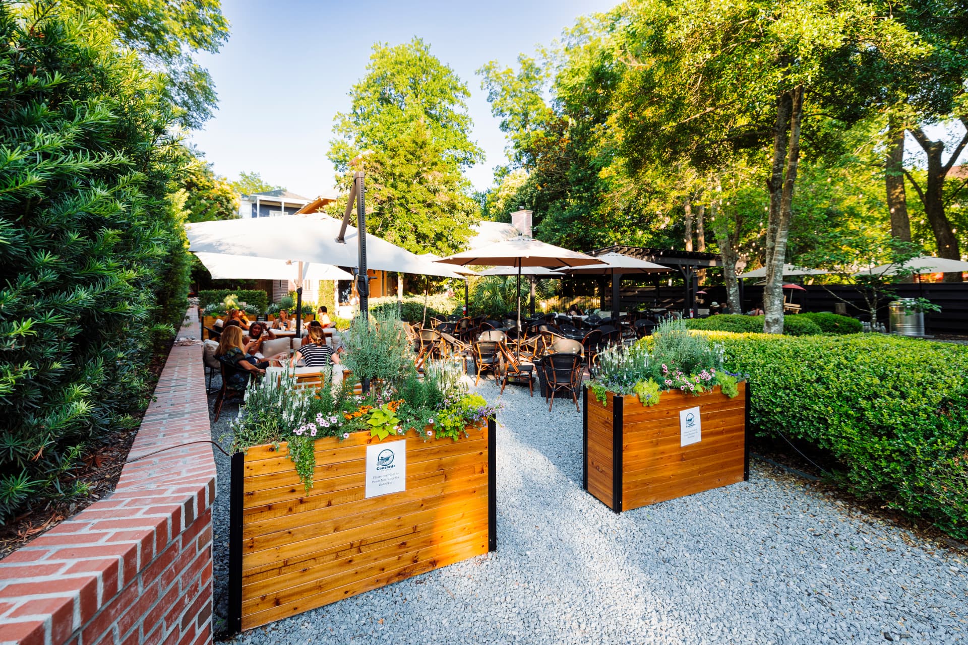 Downtown patio seating under the trees